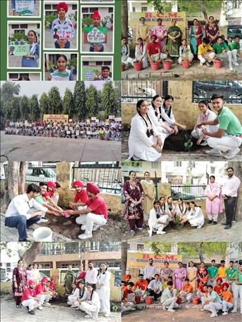 BCM Sr. Sec. School Focal Point, Ldh. Celebrated Environment Activity by NSS Volunteers